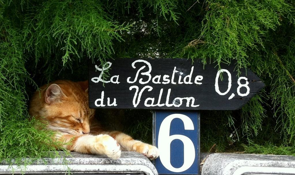 La Bastide Du Vallon Guest House Saumane-de-Vaucluse Exterior photo