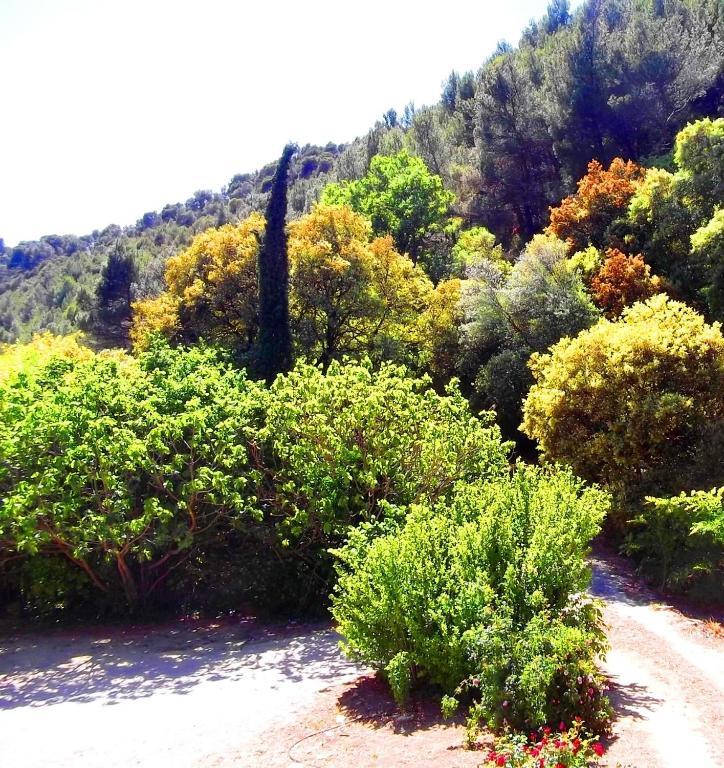 La Bastide Du Vallon Guest House Saumane-de-Vaucluse Exterior photo
